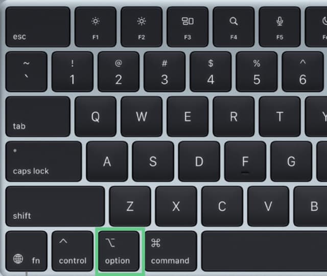 beatloop Musik direkter Download auf MacBook